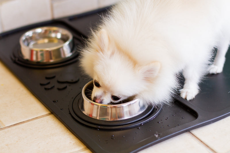 Bandeja Pet para alimentação de cães e gatos - Borkar