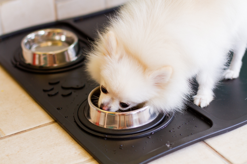 Bandeja Pet para alimentação de cães e gatos - Borkar