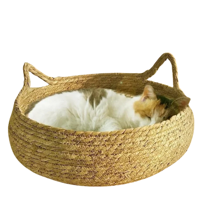 Cama para gatos